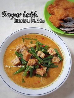 Foto resep Sayur Lodeh Bumbu Pedas (kacang panjang dan tempe)
