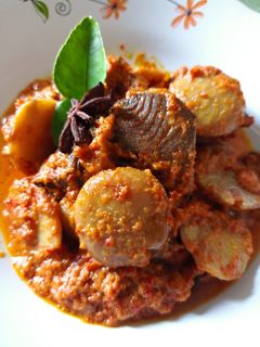 Foto resep Kalio / Rendang Jengkol dan Tongkol Khas Minang💕