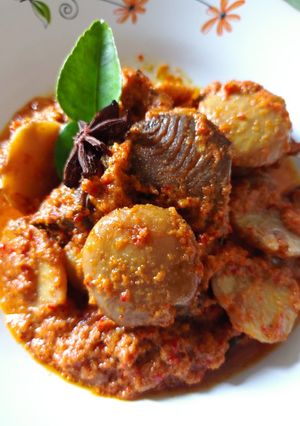 Foto resep Kalio / Rendang Jengkol dan Tongkol Khas Minang💕