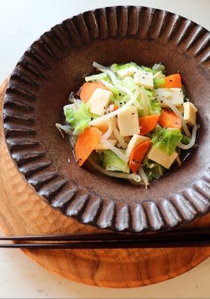 A picture of Koya-Tofu(freeze-dried tofu) and Vegetable Stir Fry.