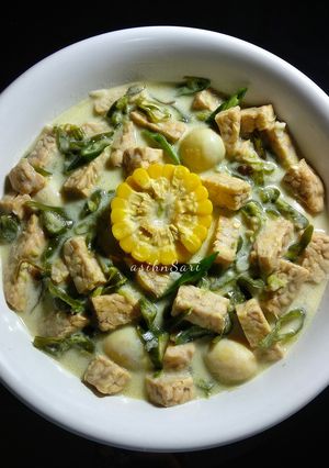 Foto resep Tempe Cabai Ijo Kuah Santan (tanpa msg)