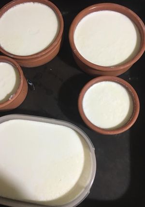 Φωτογραφία της συνταγής Σπιτικό Γιαούρτι