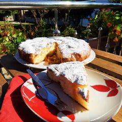 A picture of Apricot Cake.