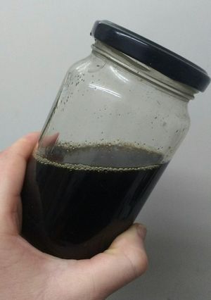 Una foto de Stevia casera sin conservantes