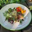 Ensalada multicolor
