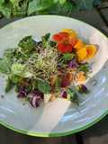 Ensalada multicolor