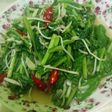 Tumis sawi kecambah
