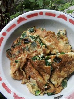 Foto resep Telur dadar daun bawang