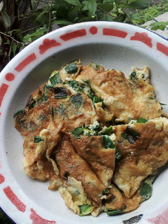 Foto resep Telur dadar daun bawang