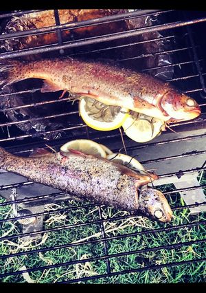 A picture of Smoked Rainbow trout.