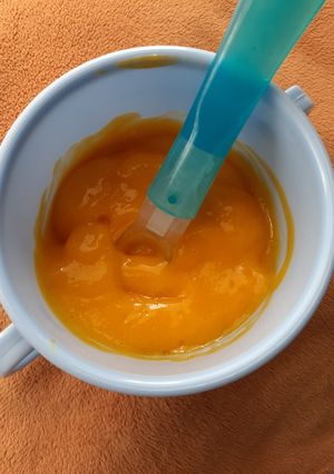Foto resep Puree mangga