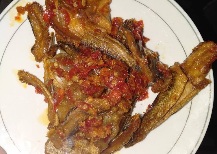 Balado ikan gabus