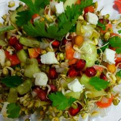 A picture of Sprout Chat.