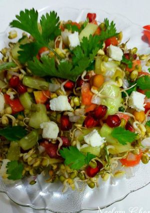 A picture of Sprout Chat.