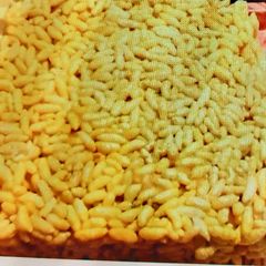 A picture of Rice chikki murmura.