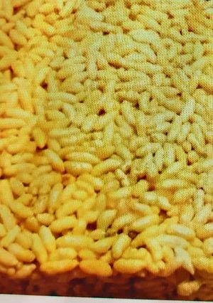 A picture of Rice chikki murmura.
