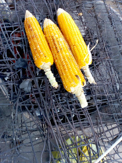 A picture of Roasted corn.