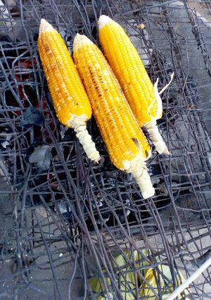 A picture of Roasted corn.