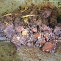 A picture of Rendang Padang (kering).