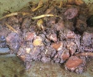 Cara Memasak Rendang Padang kering Mantul Banget