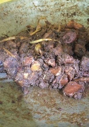 Foto resep Rendang Padang (kering)