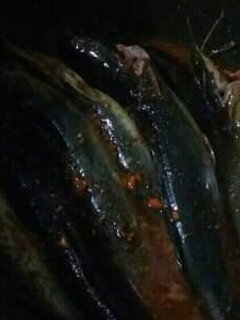 Foto resep Bumbu Ikan Lele Goreng