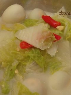 Foto resep Sayur Lodeh Sawi Putih