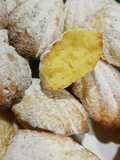 Madeleine