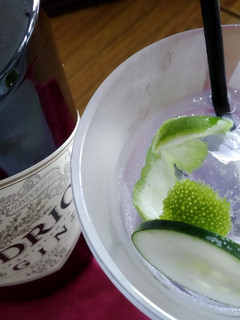 Una foto de Gin tonic de hendricks