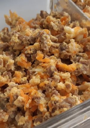 Foto resep MPASI Daging sapi cincang