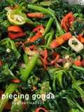 Plecing gonda