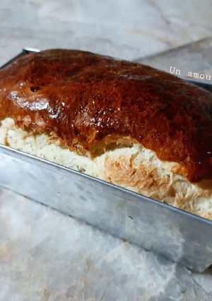 Une photo de Brioche 🍞