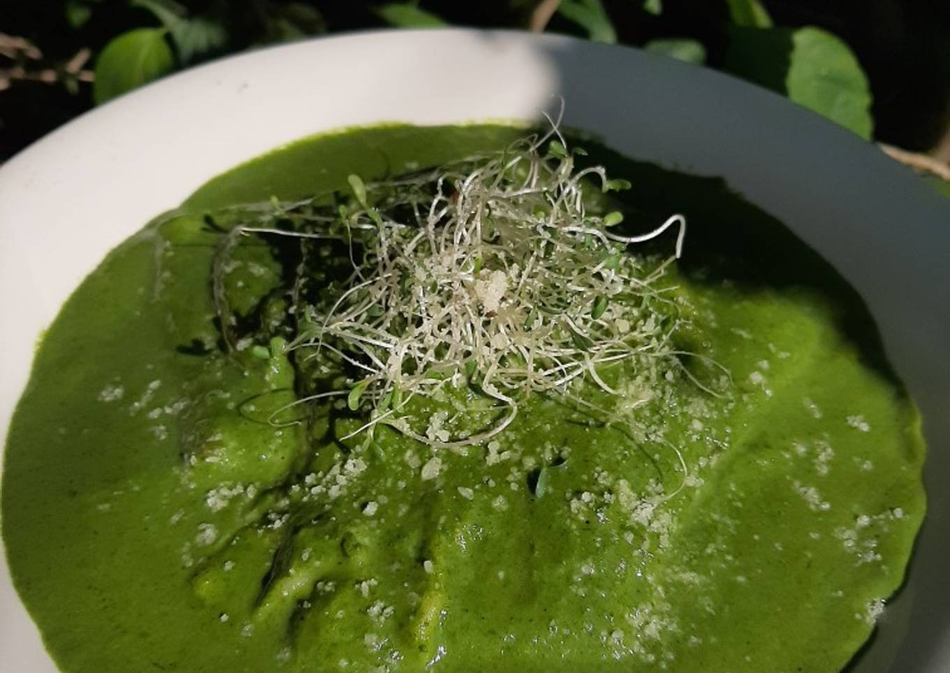 Raviolis en salsa de espinacas