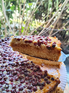 Una foto de Kuchen de manzana y murtilla