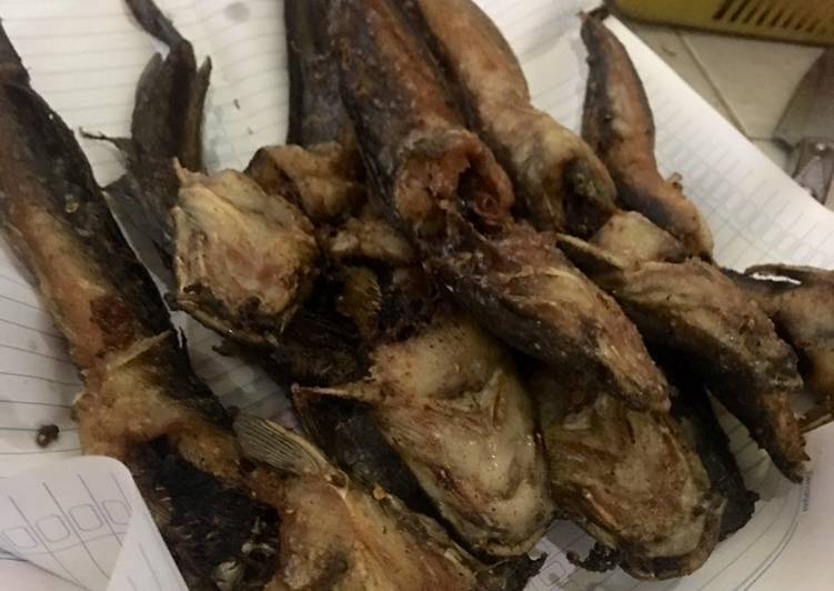 Anti Ribet, Memasak IKAN LELE GORENG ENAK 🐟 gampang