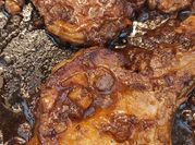 Una foto de chuletas de perú