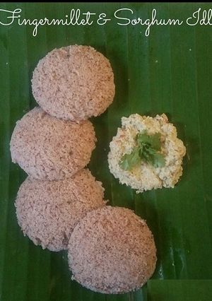 A picture of Sorghum and finger millet idli.