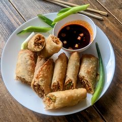 A picture of Veg Noodles Spring rolls.