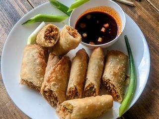 Veg Noodles Spring rolls