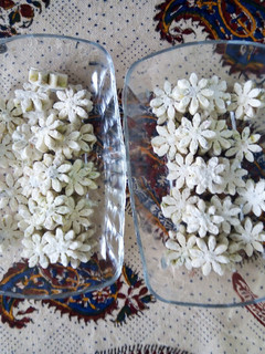 عکسی از دستور گز آردی