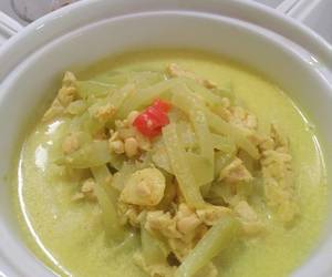 Mudah Cepat Memasak Sayur santan labu Siam tempe Mantul Banget