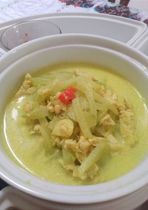 Foto resep Sayur santan labu Siam tempe