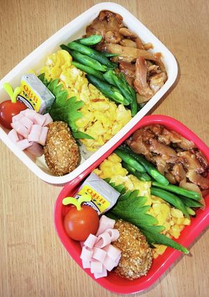 A picture of Quick! Teriyaki Chicken Three-Color Rice Bowl (Bento).