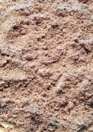 A picture of Sand Pudding.