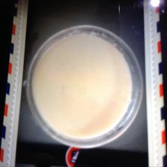 A picture of Rasapooli peethe - a dish of Yeast Bengal.
