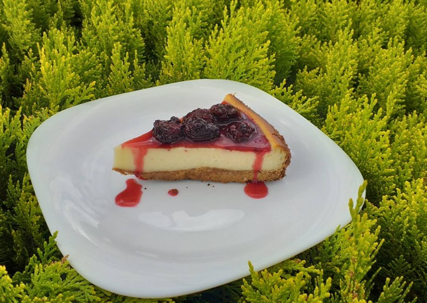 New York cheesecake