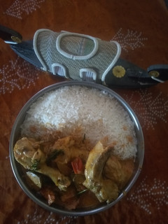 Csirke curry Khozikode stílusban recept fotója