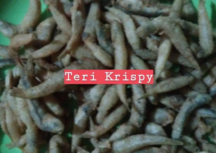 Teri Krispy