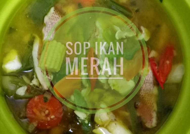 Resep Sop ikan kakap merah Lezat