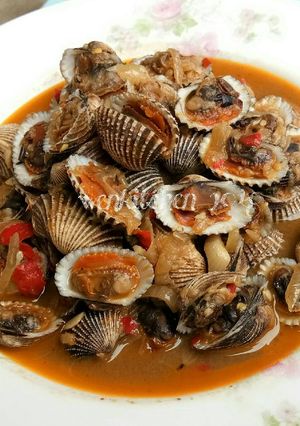 Foto resep Kerang Dara Saus Padang